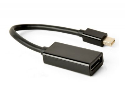 Адаптер Mini DisplayPort на DisplayPort / 4К (1 з 2)