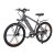 Електричний велосипед, сірий (2 из 9)