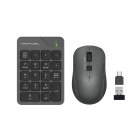 Комплект бездротовий Fstyler клавіатура цифрова+миша, сірий